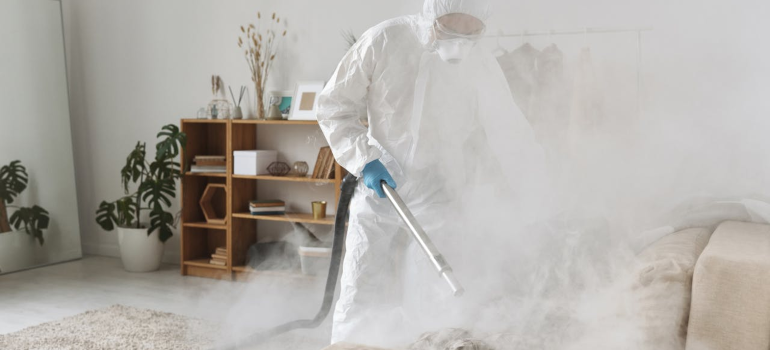Zamagljivanje prostora tokom tretmana koji sprovodi profesionalna služba za dezinsekciju